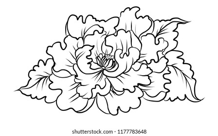 peony flower vector for tattoo and isolate on white background.Hand drawn and line art peony flower tattoo.
