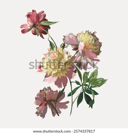 Peony flower, vintage botanical illustration. Pink floral plant vector element. Vintage pink botanical flower art drawing illustration, old painting art print of pink flower drawing.