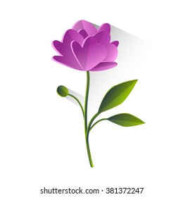 Peony Flower Violet Green Leaf Isolated Flat Vector Illustration