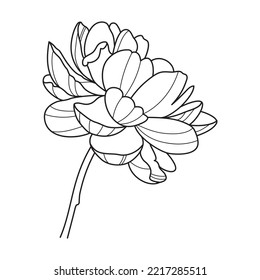 Peony flower white black line logo sketch tattoo wedding