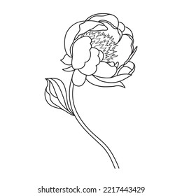 Peony flower white black line logo sketch tattoo wedding