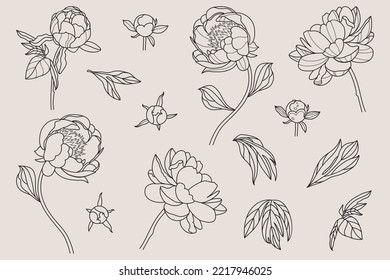 Peony flower white black line logo sketch tattoo wedding