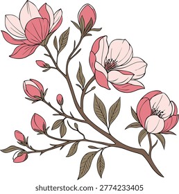 peony flowers cluster different