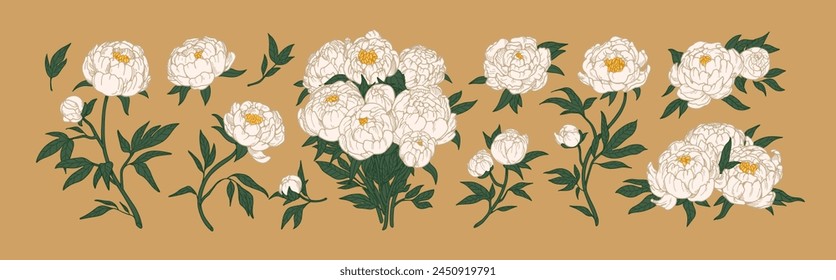 Peony flowers, floral bouquet set. Blossomed buds, Japanese plants, beautiful petals and leaves. Gorgeous blooms. Realistic botanical hand-drawn vector illustrations set isolated on white background