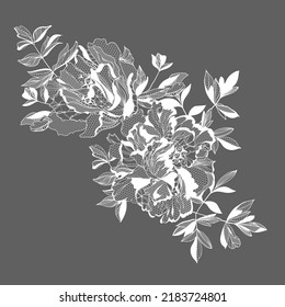 Peony flowers and foliage. Vector illustration, bouquet.