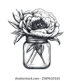 Peony flowers in a glass jar 3 colors engraving sketch black and white EPS 10