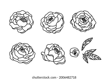 Peony flowers isolated clipart, Black and white floral decorative elements, Line blossom peonies and leaves, botanical design items - vector illustration