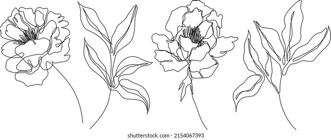 Peony flowers isolated vector illustration. Vector wildflowers for background. Abstract botanical art. Simple minimalist art set. Continuous line drawing.