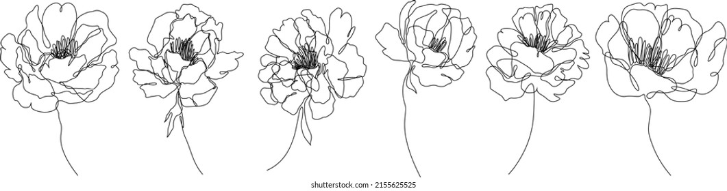 Peony flowers isolated vector illustration. Vector wildflowers for background. Abstract botanical art. Simple minimalist art set. Continuous line drawing.