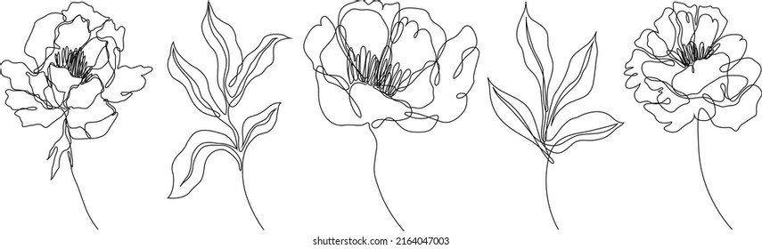 Peony flowers isolated vector illustration. Vector wildflowers for background. Abstract botanical art. Simple minimalist art set. Continuous line drawing.