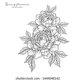 Flowers Drawing Sketch Lineart Stock Vector (Royalty Free) 1037691331