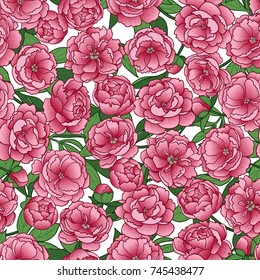 Peony flowers and leaves seamless pattern. Floral romantic colorful wallpaper on white background.