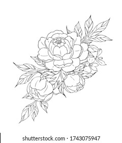 Peony flowers and leaves, tattoo compositions. Black linear illustration isolated on a white background. Flowers arrangements.