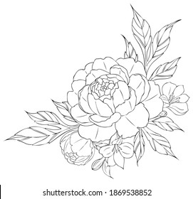 Peony flowers and leaves, tattoo compositions. Black linear illustration isolated on a white background. Flowers arrangements.