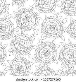 Peony Flowers. Outline Floral seamless pattern.