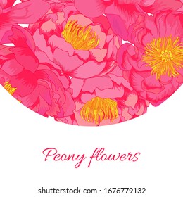 Peony flowers pink vector background with lettering. Summer bright template