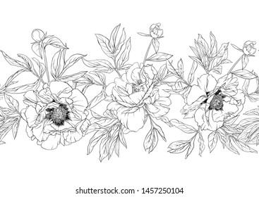 Peony flowers. Seamless pattern, background. Outline hand drawing vector illustration. In botanical style Isolated on white background.	