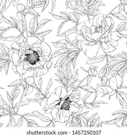 Peony flowers. Seamless pattern, background. Outline hand drawing vector illustration. In botanical style Isolated on white background.	