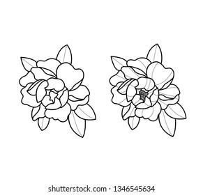 peony flowers set