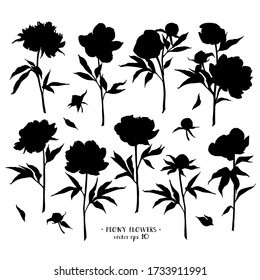 Peony flowers silhouettes set. Vector illustration Isolated on white background. For invitations, tattoo, greeting cards, decor