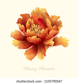 Peony flowers vector create designs. Vector illustration imitates brush painting.