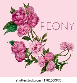 Peony flowers, vector graphic illustration