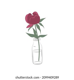 Peony in a glass bottle. Red flower with leaves. Spring flowers. Floral composition. Vector illustration on a white background