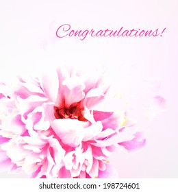 Peony, With Gradient Mesh, Vector Illustration