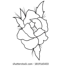 peony graphic design vector illustration, icon, tattoo art sketch, logo, hand draw, use in print, fashion model