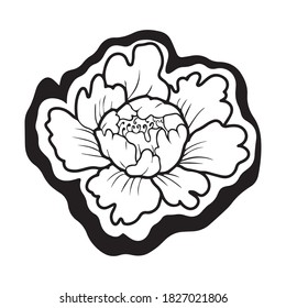 diseño gráfico peony ilustración vectorial, icono, dibujo de tatuajes de arte, logotipo, dibujo a mano, uso en impresión