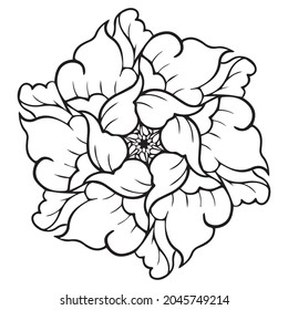 peony graphic design vector illustration, art tattoo sketch, hand draw, use in print