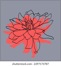 Peony Graphic image muster.Illustration auf weißem und farbigem Hintergrund.Vector