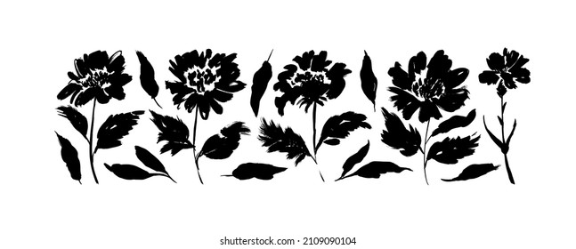 Juego de vectores de pintura negra dibujado a mano por peones. Tinta dibujando flores y hojas. Artes de clip botánico artístico monocromo. Daisy, aster, crisantemo o camomila. Siluetas de flores pintadas con pincel