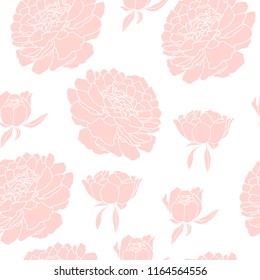 Peony hand drawn flower vector illustration
