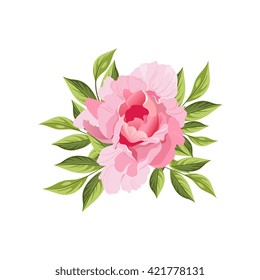 Peony Hand Drawn Realistic Flat Vector Illustration In Artistic Painting Style On White Background