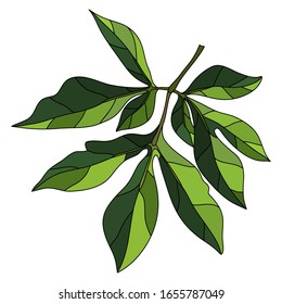 Peony isolated leaves doodle style. Realistic hand drawn outline. Contour ornament for print cup, textile, wallpaper, banner, wrapping, web, scrapbook, cover, cafe menu, fliers. Fill and stroke 