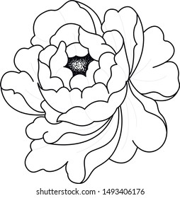 peony japan flower art work black and white tattoo