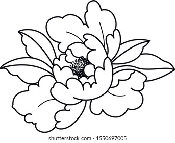 peony japan flower bloom art 