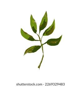 Peony leaves. Vector Illustration for decoration cards, templates for valentine day, wedding, birthday, easter, baby design.
Design for paper, print, fabric, wallpaper, packaging, textile.