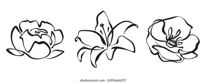 Peony, lily, and poppy flower. Black line art drawing of flowers isolated on a white background. Vector line art illustrations. Hand-drawn illustration, not AI
