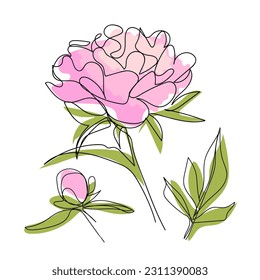 Peony line art. Abstract minimal flower design for cover, prints, floral wall art. Home decor picture, fabric and wallpaper. Vector illustration.