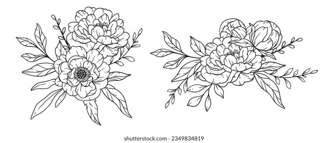 Peony  Line Art, Fine Line Peony Bouquets Hand Drawn Illustration. Coloring Page with Peony Flowers. 