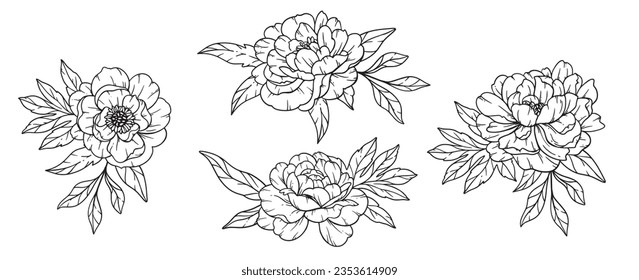 Peony  Line Art, Fine Line Peony Bouquets Hand Drawn Illustration. Coloring Page with Peony Flowers
