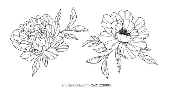 Peony Line Art. Trendy floral peony bouquets and flowers. Botanical Line Drawing Peony Collection. Hand drawn line art flowers. Luxury Line Floral Art. Peony Outline