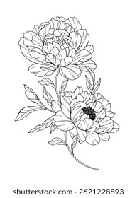 Peony Line Art. Trendy floral peony bouquets and flowers. Botanical Line Drawing Peony Collection. Hand drawn line art flowers. Luxury Line Floral Art. Peony Outline