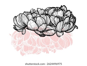 Ilustración dibujada a mano del Vector del arte de la línea de la peonía. Impresión de arte con hermosa y elegante flor de primavera negra y rosa. Activo gráfico altamente detallado y de alta calidad para impresión y en línea.