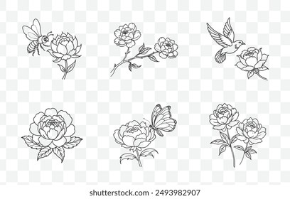 Conjunto de Vector de arte de línea peonía Ilustraciones florales elegantes para proyectos de diseño y decoración