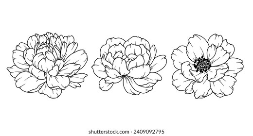 Peony Line Drawing. Black and white Floral Bouquets. Flower Coloring Page. Floral Line Art. Fine Line Peony illustration. Hand Drawn flowers. Botanical Coloring. Wedding invitation flowers