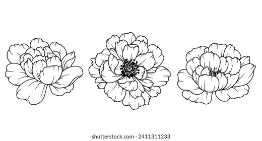 Dibujo de línea peony. Bouquets florales en blanco y negro. Página Coloración de Flores. Ilustración de la línea floral Art. Fine Line Peony. Flores dibujadas a mano. Colores botánicos. Flores de invitación a la boda