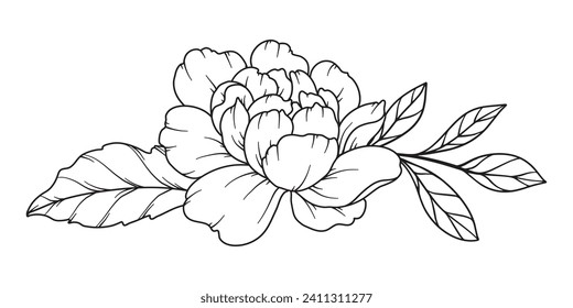 Peony Line Drawing. Black and white Floral Bouquets. Flower Coloring Page. Floral Line Art. Fine Line Peony illustration. Hand Drawn flowers. Botanical Coloring. Wedding invitation flowers